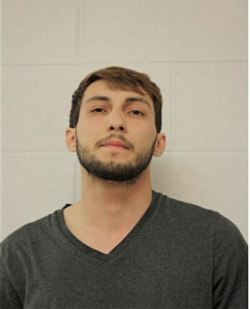 CORNELIU COPIL, Cook County, Illinois