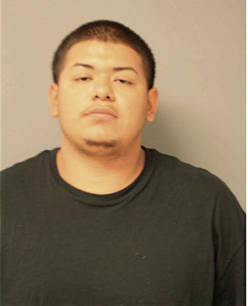 JOSE ESTRADA, Cook County, Illinois