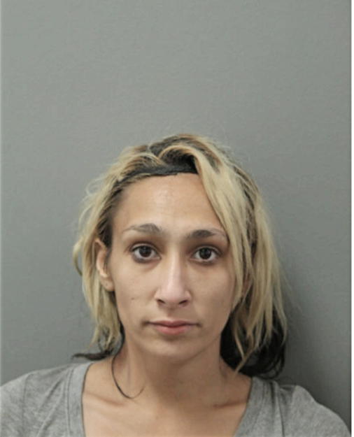 ASHLEY GOODMAN, Cook County, Illinois
