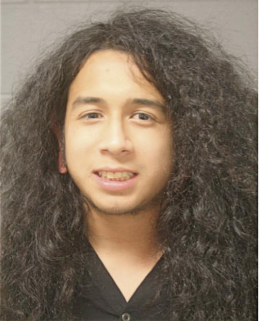 SERGIO A GUDINO, Cook County, Illinois