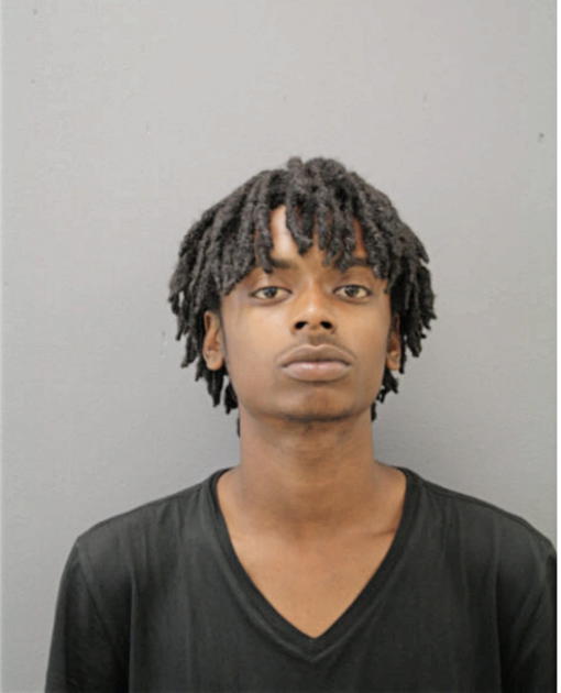 WILLIAM T HERBERT, Cook County, Illinois