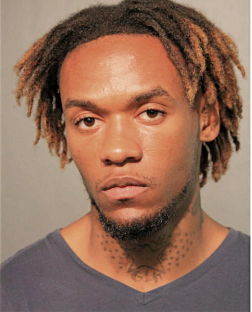 COREY C LANDER, Cook County, Illinois