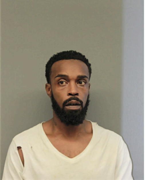 DEANDRE L LOFTON, Cook County, Illinois