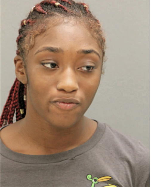 AMBER MARTIN, Cook County, Illinois