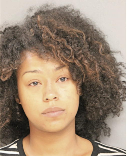 CHANESE N MITCHELL, Cook County, Illinois