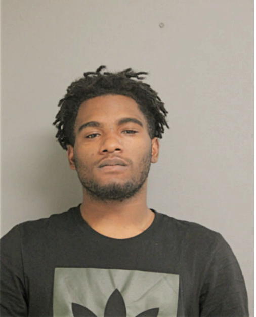 MARIO K NORWOOD, Cook County, Illinois