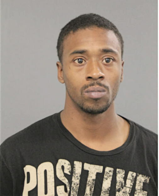 MICHAEL J NORWOOD, Cook County, Illinois