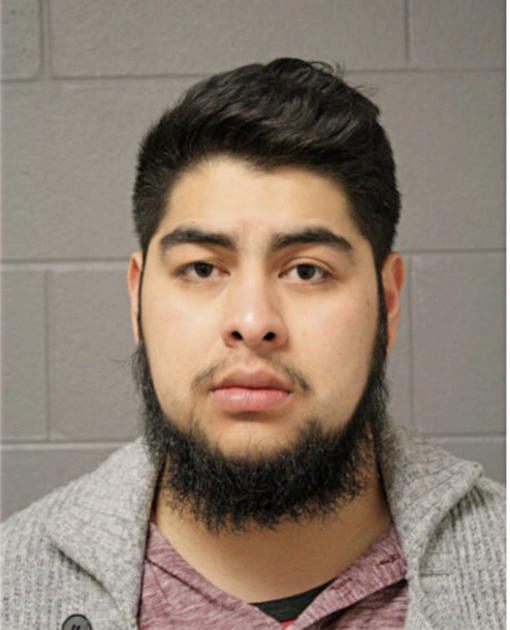 JAVIER PALOMINO, Cook County, Illinois