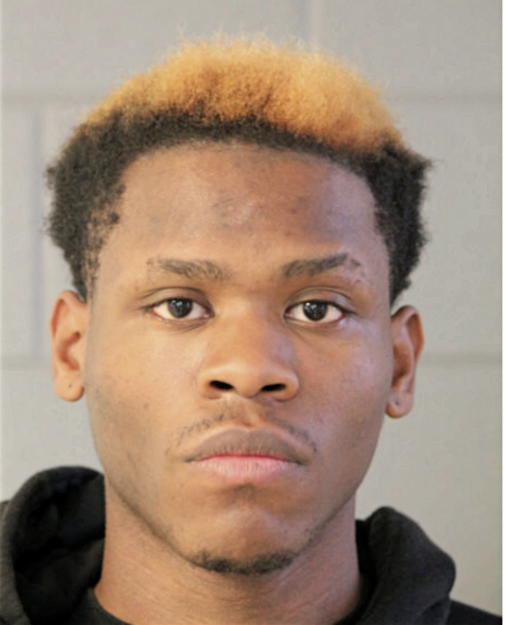 DIONTE J STEVENSON, Cook County, Illinois
