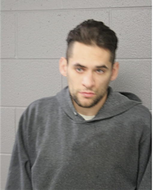 JULIAN P WARD, Cook County, Illinois