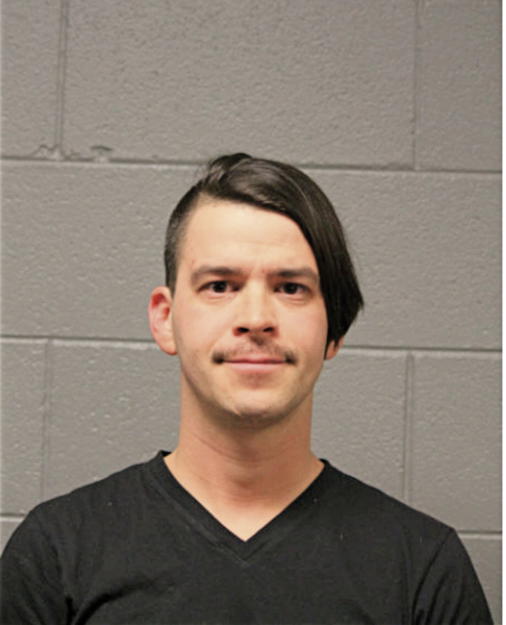 DAVID A ARREDONDO, Cook County, Illinois