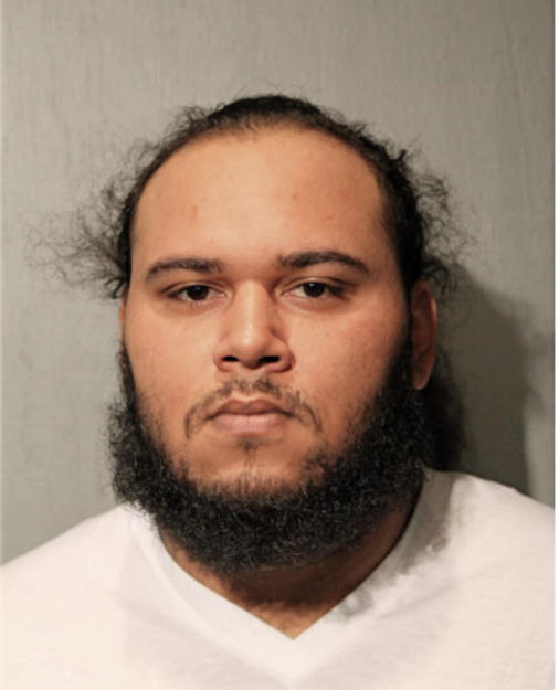 BRANDON K CUNNINGHAM, Cook County, Illinois