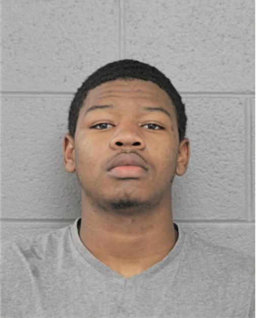 SAMUEL L DAVIDSON, Cook County, Illinois