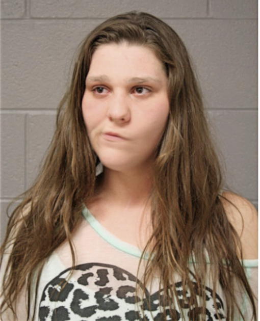 COURTNEY EILEEN FIED, Cook County, Illinois