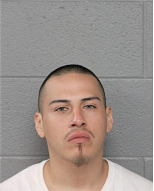 JULIAN R FUENTES, Cook County, Illinois