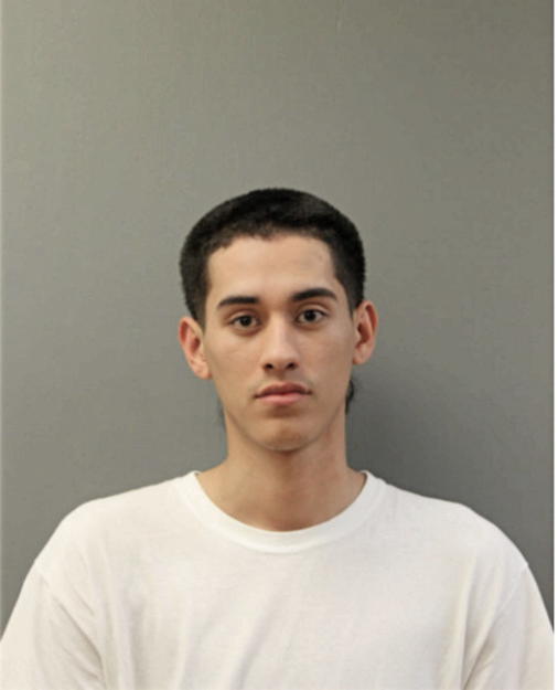 CHRISTOPHER GALEANA, Cook County, Illinois
