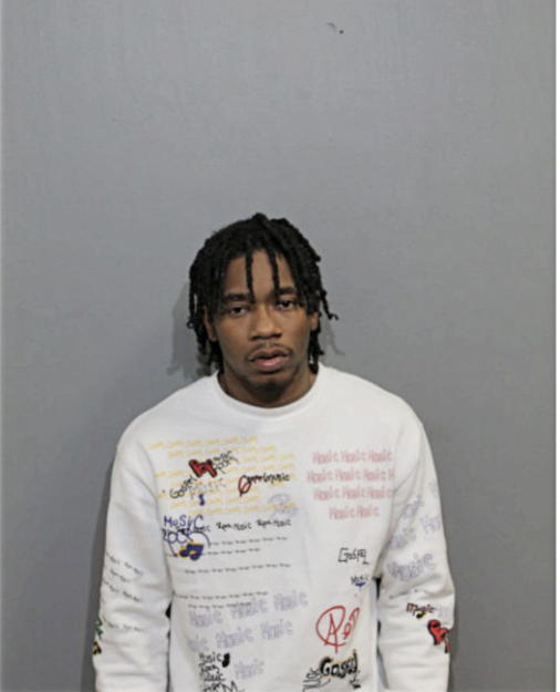 MICHAEL M HENDERSON, Cook County, Illinois
