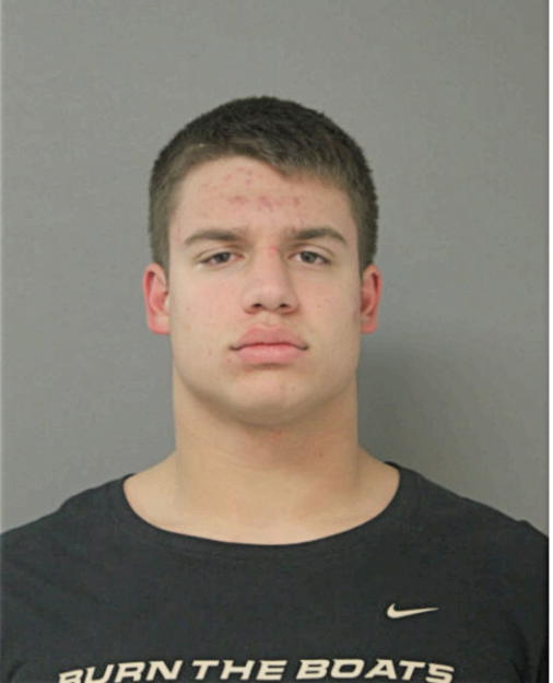 VINCENT M LABUS, Cook County, Illinois