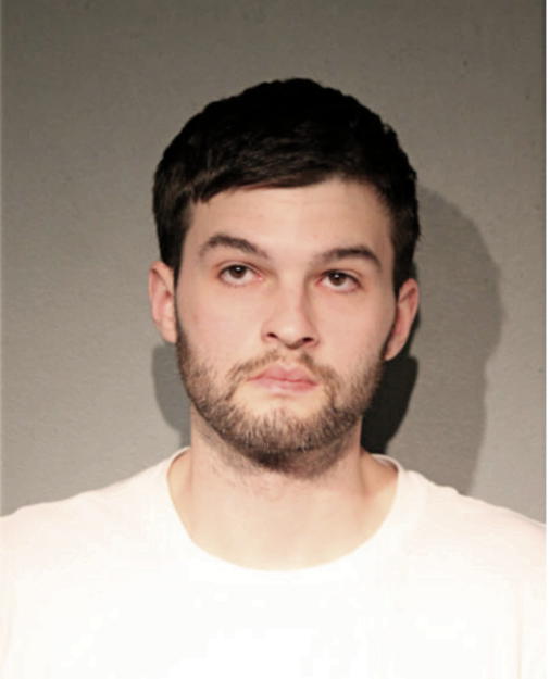 THOMAS P LANGE, Cook County, Illinois
