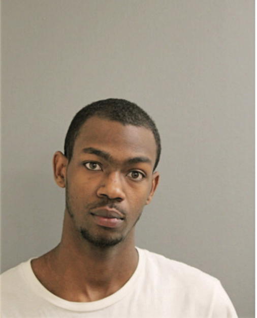 DAVID B LINDSEY, Cook County, Illinois