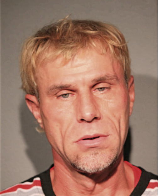 CHRISTOPHER L LIVERMAN, Cook County, Illinois
