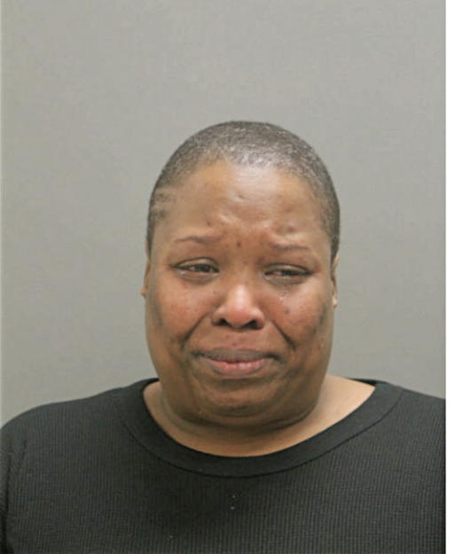 DENNIKA P LOVE, Cook County, Illinois