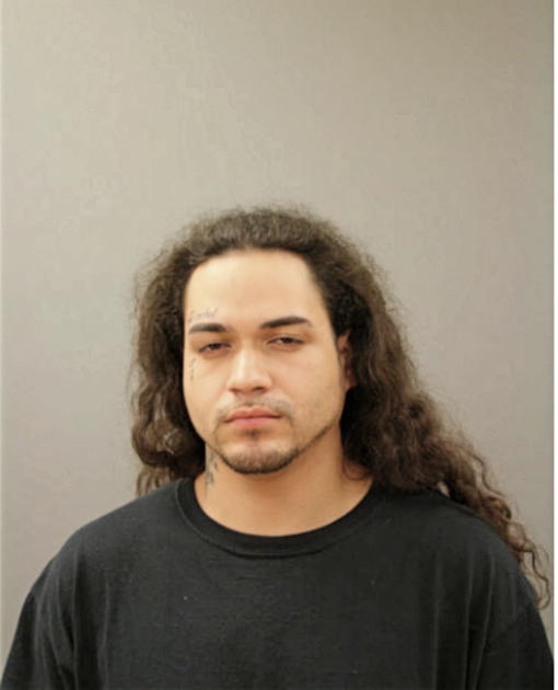 SEBASTIAN R MELENDEZ, Cook County, Illinois