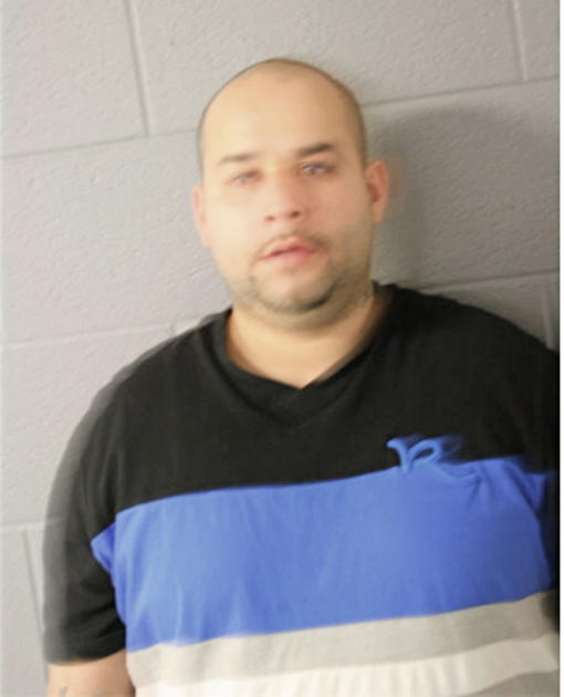 ROBERTO ORTEGA, Cook County, Illinois