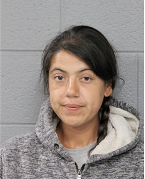 ROSA A ORTIZ, Cook County, Illinois