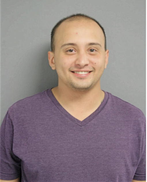 DAVID A PANOCHA, Cook County, Illinois