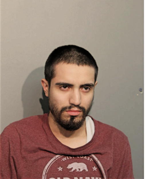 CESAR SANTANA, Cook County, Illinois