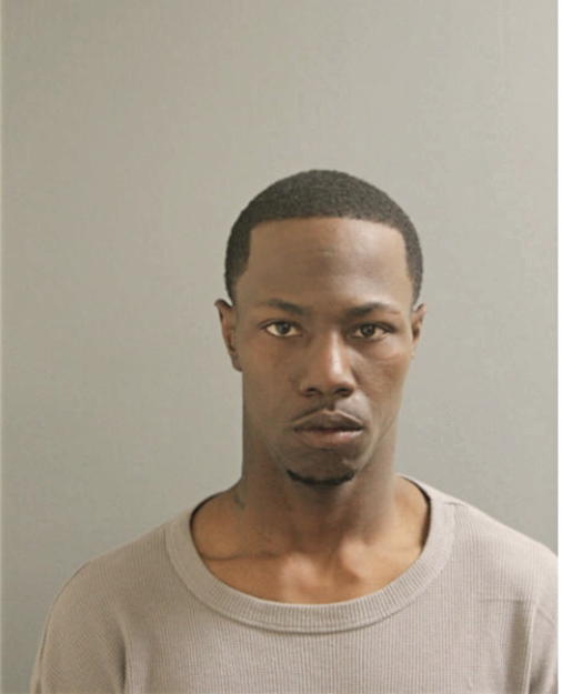 TAYLOR L SHWANTEZ, Cook County, Illinois