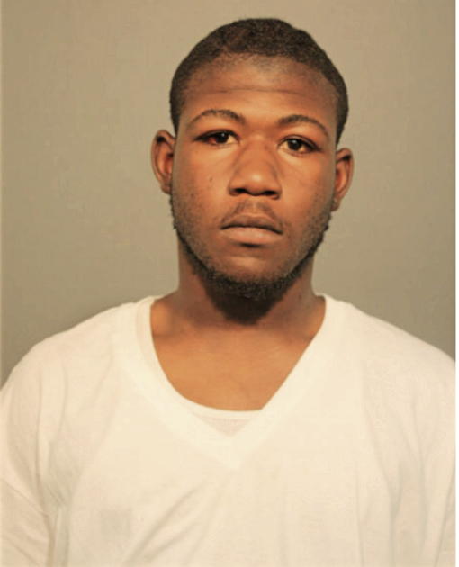 TERRELL A WILLIAMS, Cook County, Illinois