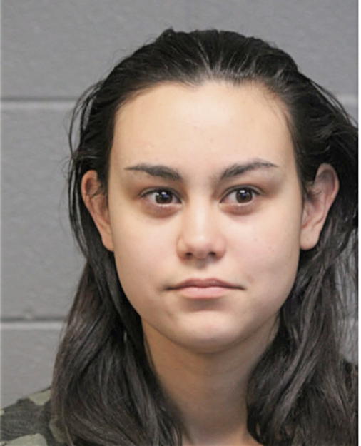 SARAH V BELL, Cook County, Illinois