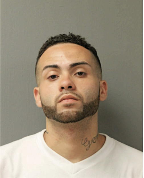 JOSUE V BERMUDEZ, Cook County, Illinois