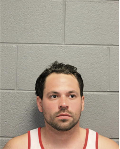 ANTHONY E CHERNESKY, Cook County, Illinois
