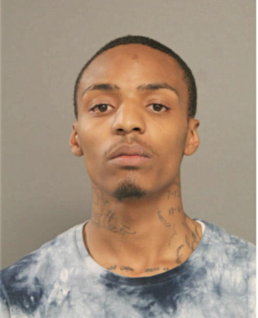 KURTIS X FONTAINE, Cook County, Illinois