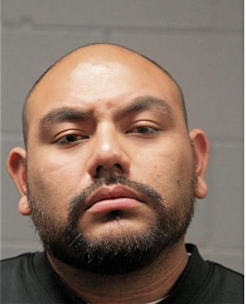 RICARDO S GARCIA, Cook County, Illinois