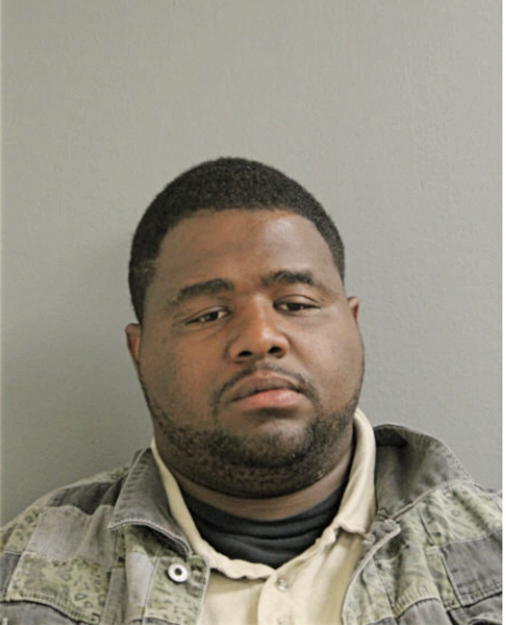TERENCE L GOODMAN, Cook County, Illinois