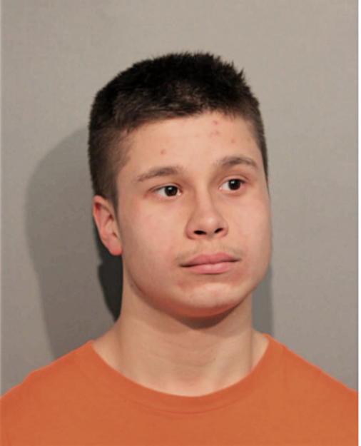 DAVID HAMROS, Cook County, Illinois