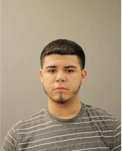 HECTOR A HERRERA, Cook County, Illinois