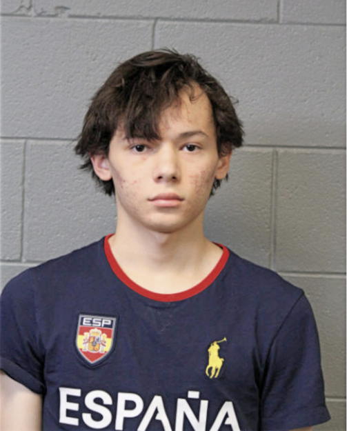 JULLUIS E JIMENEZ, Cook County, Illinois