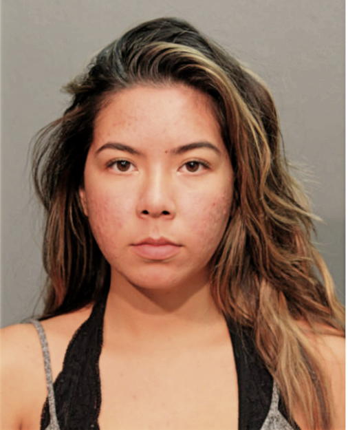 LJILJANA T JOKANIC, Cook County, Illinois