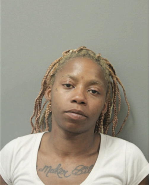 TYRESSA M LITTLE, Cook County, Illinois
