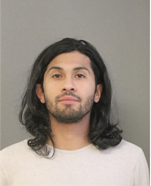 DAVID MARTINEZ, Cook County, Illinois