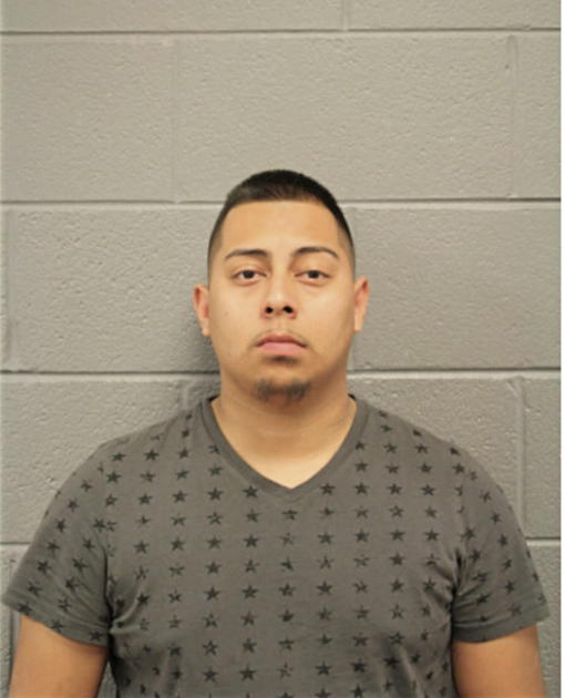FRANK MARTINEZ-PUENTES, Cook County, Illinois