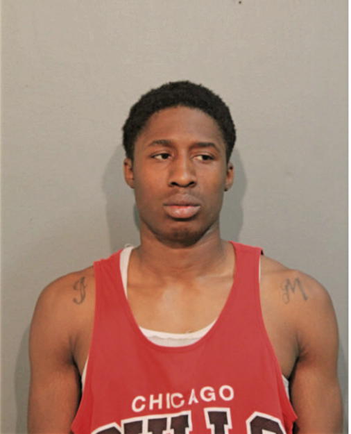 JAMIE L MILES, Cook County, Illinois