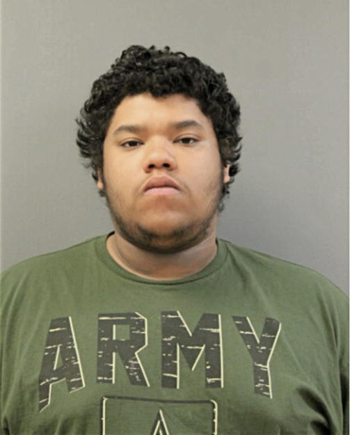 DARIUS I ORTIZ, Cook County, Illinois