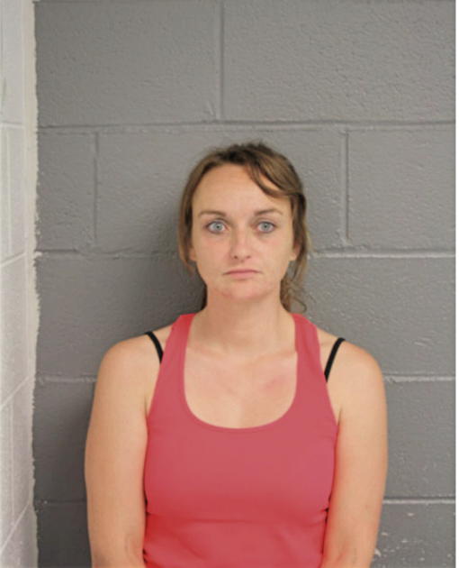 KIMBERLY E SHUKIN, Cook County, Illinois