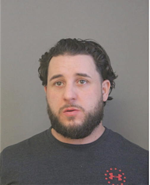 DAVID DE SIMONE, Cook County, Illinois